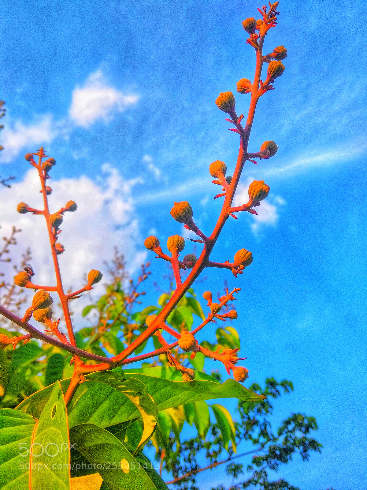 Xiaomi Redmi Note 5A sample photo. Untitled photography