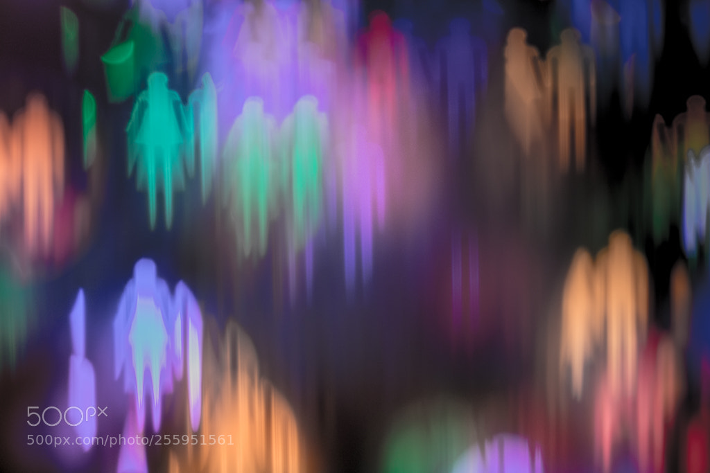Olympus OM-D E-M10 II sample photo. • migrant spirit • photography