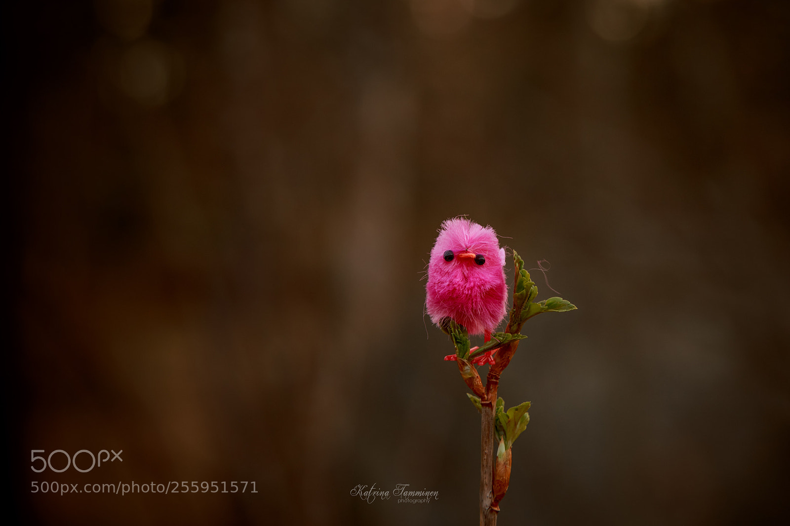 Canon EOS 6D sample photo. Small chick in a photography