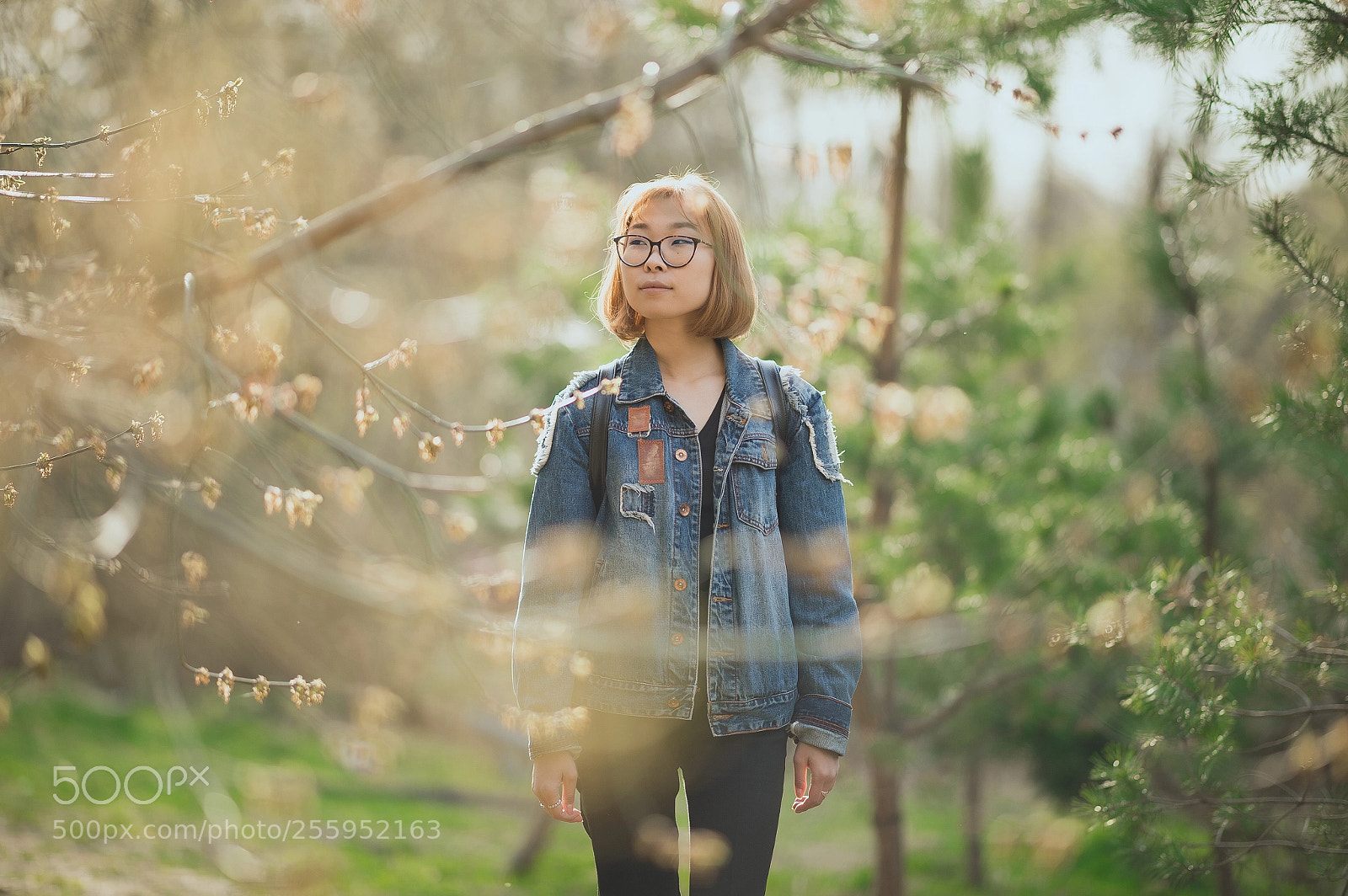 Nikon Df sample photo. Nika photography