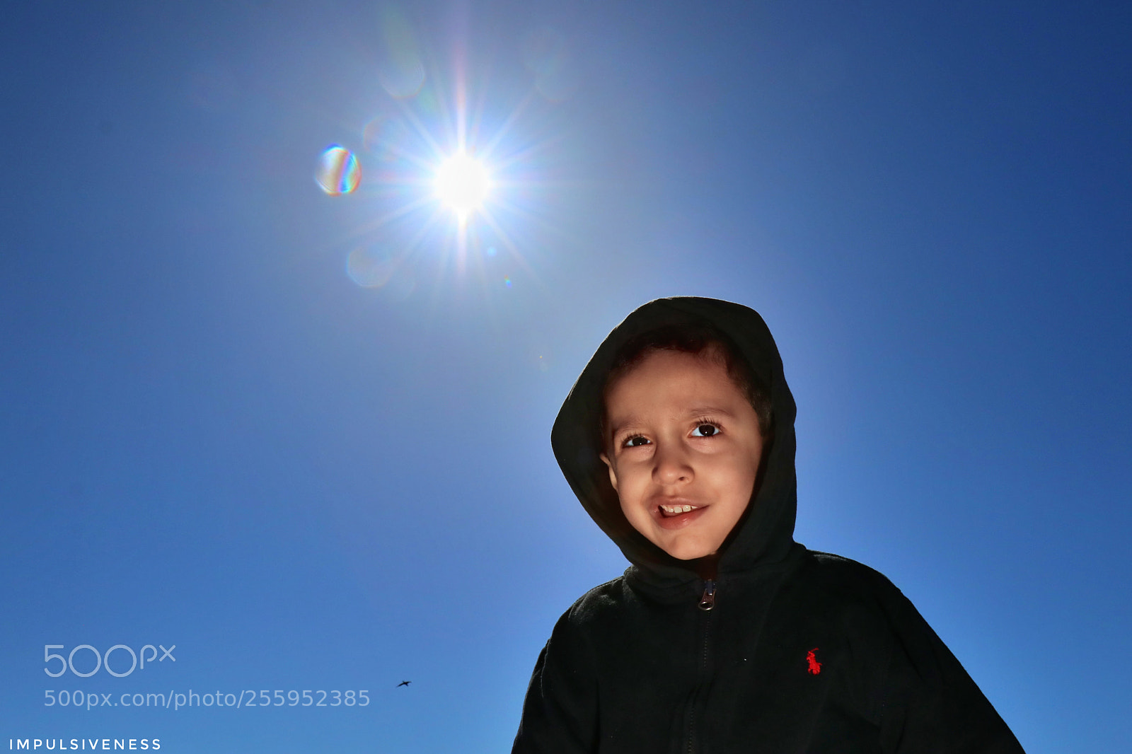Canon EOS 80D sample photo. Sunny photography
