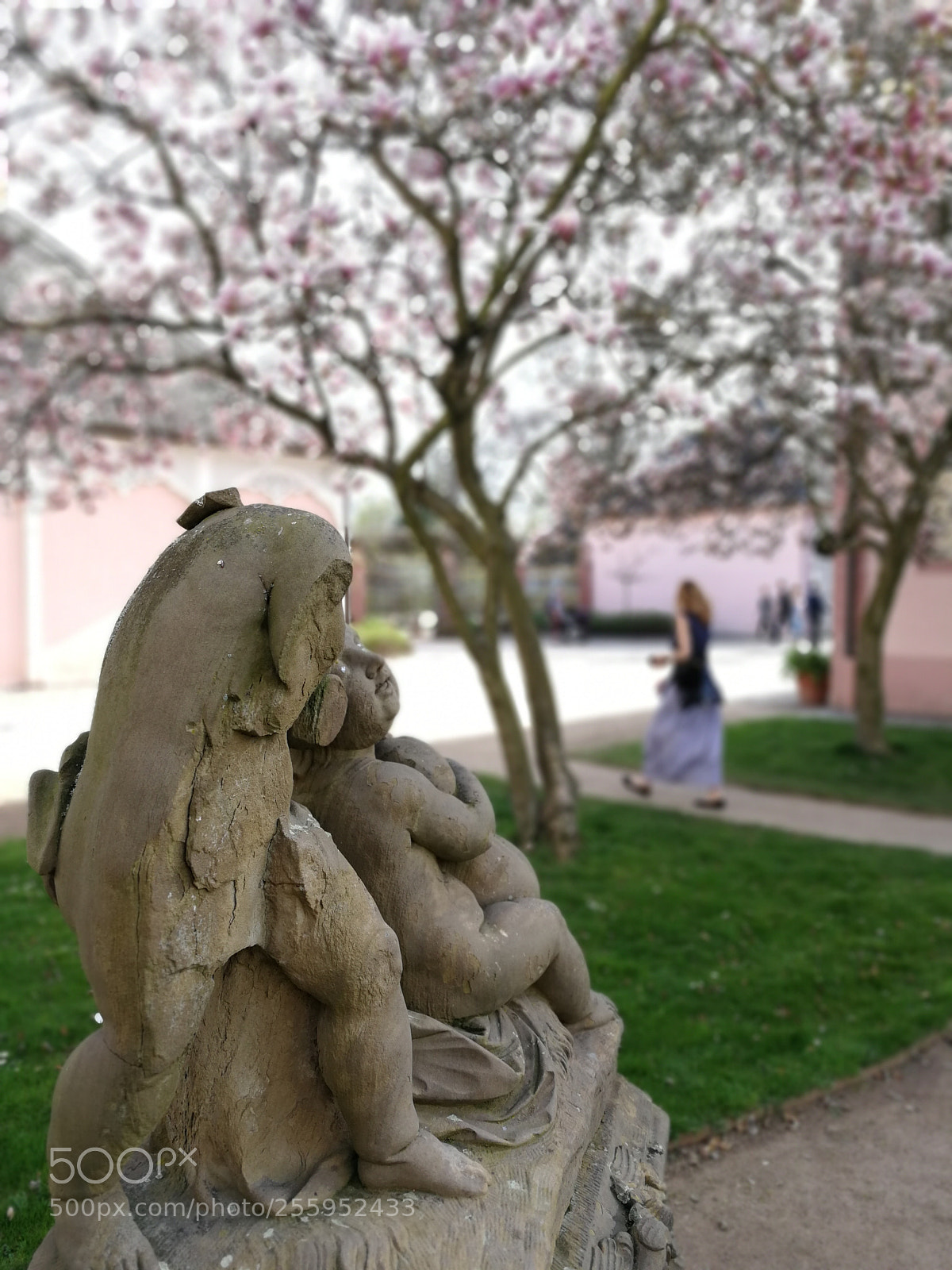 HUAWEI Mate 9 sample photo. Spring photography