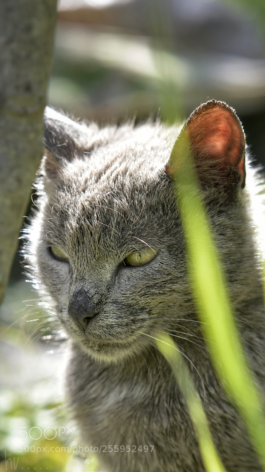 Nikon D7100 sample photo. Disappointed photography