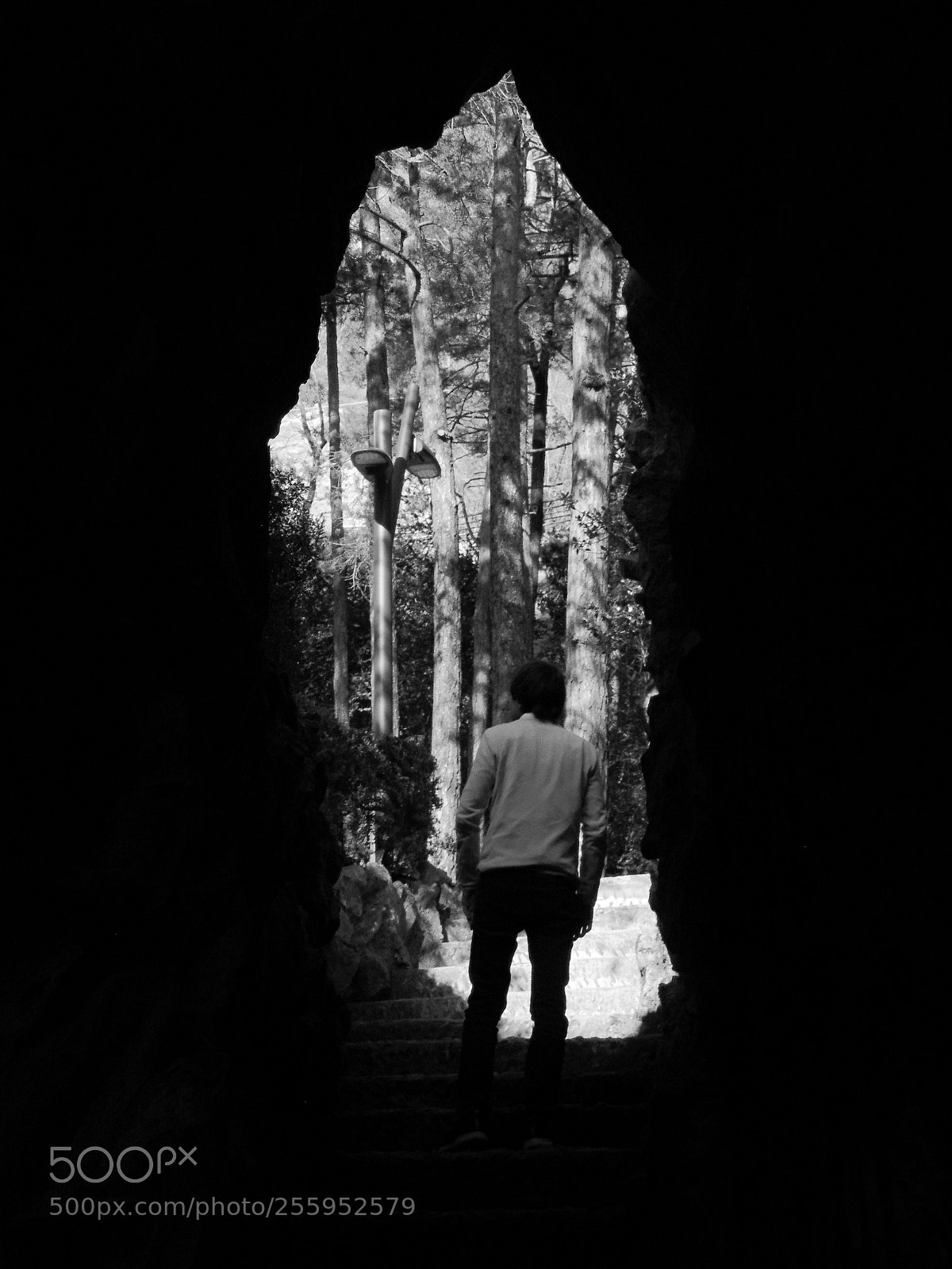 Sony Cyber-shot DSC-H300 sample photo. Exit to the forest photography