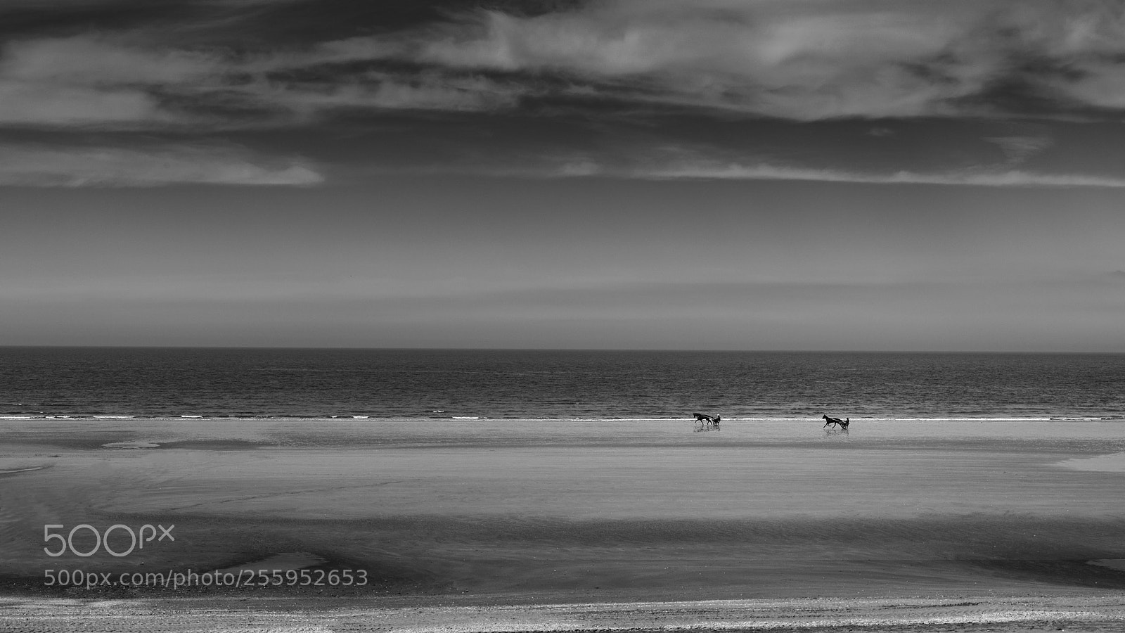 Nikon D810 sample photo. Cabourg b&w photography