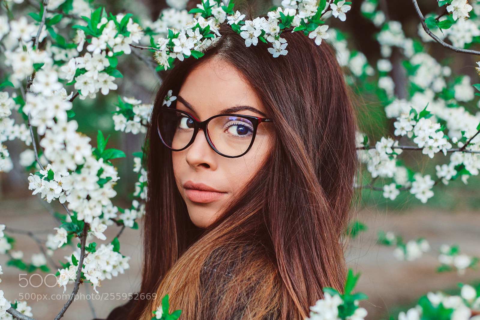 Canon EOS 70D sample photo. Anna-marya photography