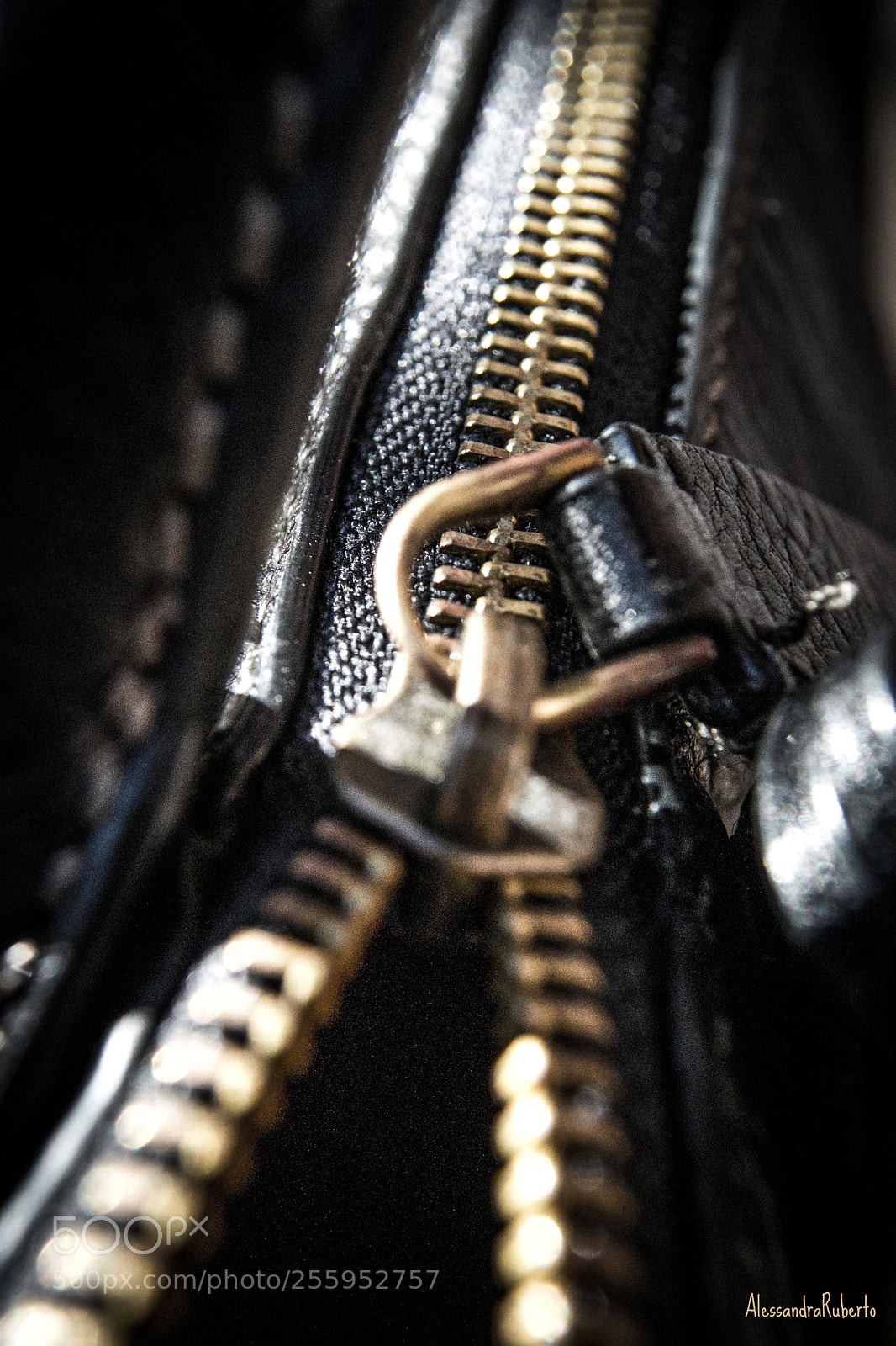 Nikon D3100 sample photo. Zip photography