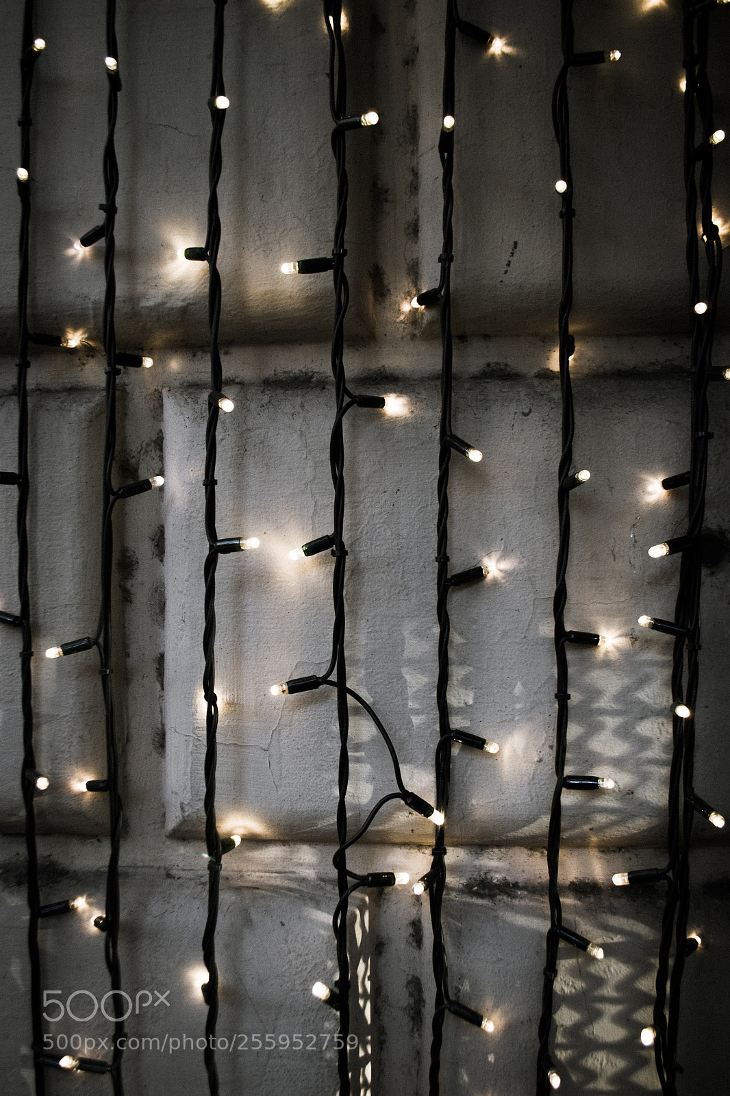 Nikon D3100 sample photo. Lights photography