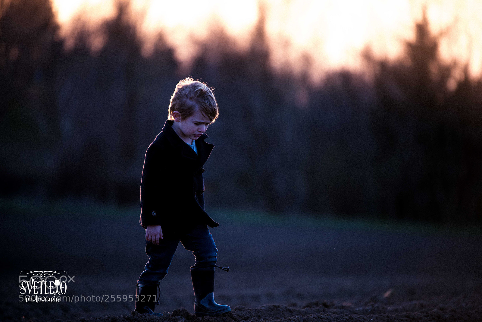 Nikon D810 sample photo. Walk into the field photography