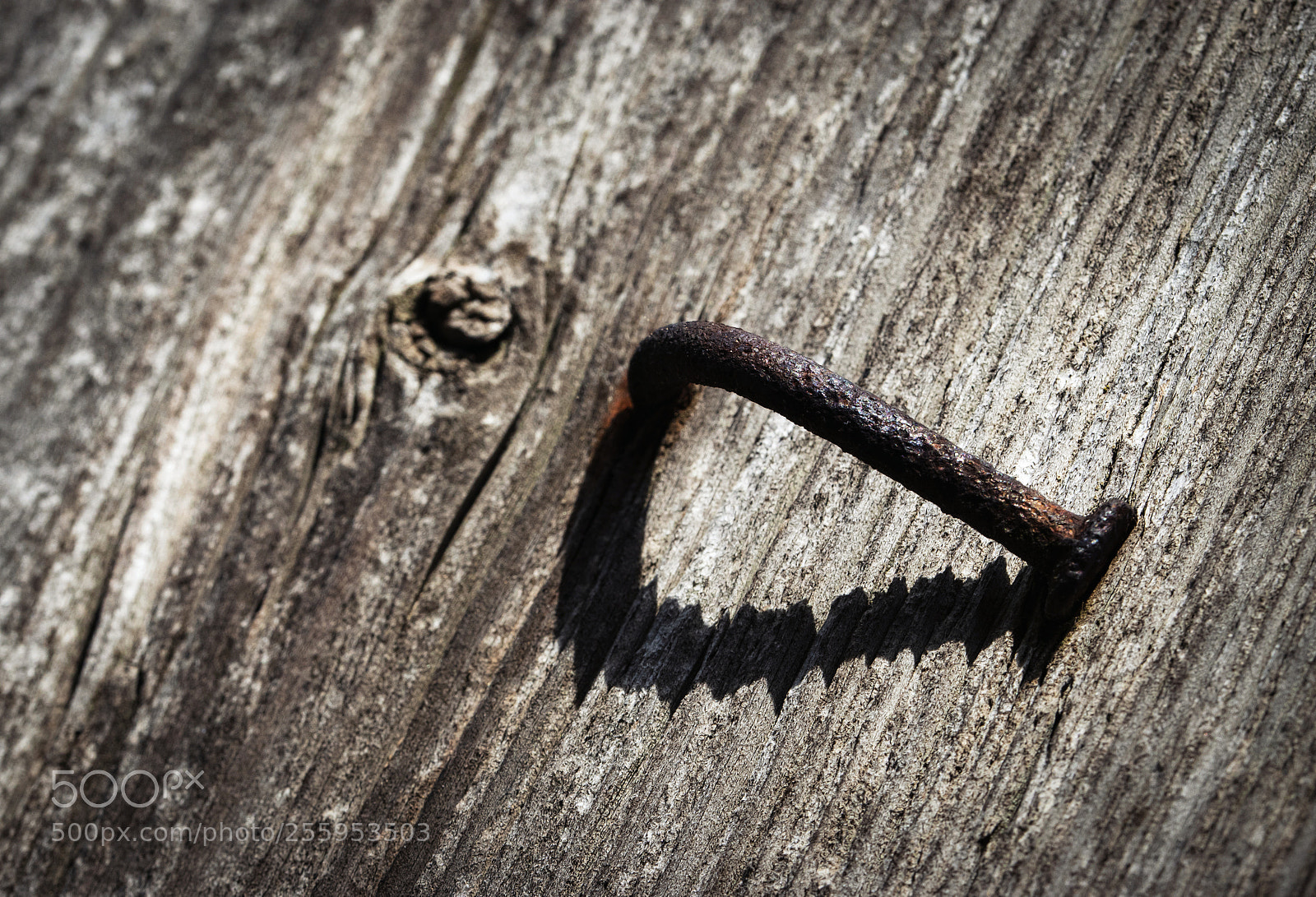 Nikon D5500 sample photo. One bent rusty nail photography