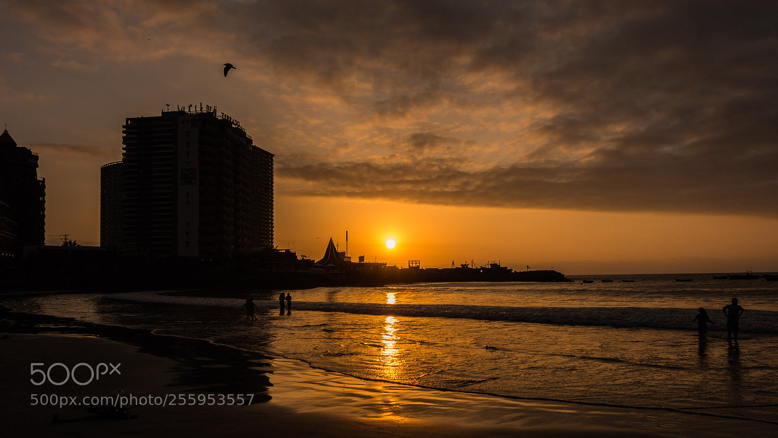 Canon EOS 70D sample photo. Atardecer en cavancha... photography