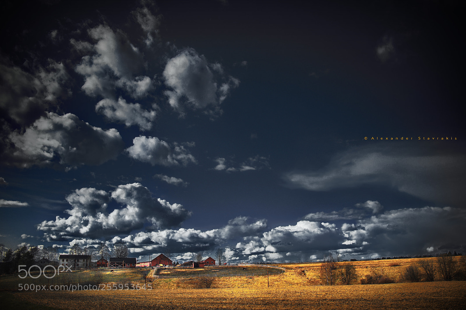 Nikon D3100 sample photo. ..farm.. photography