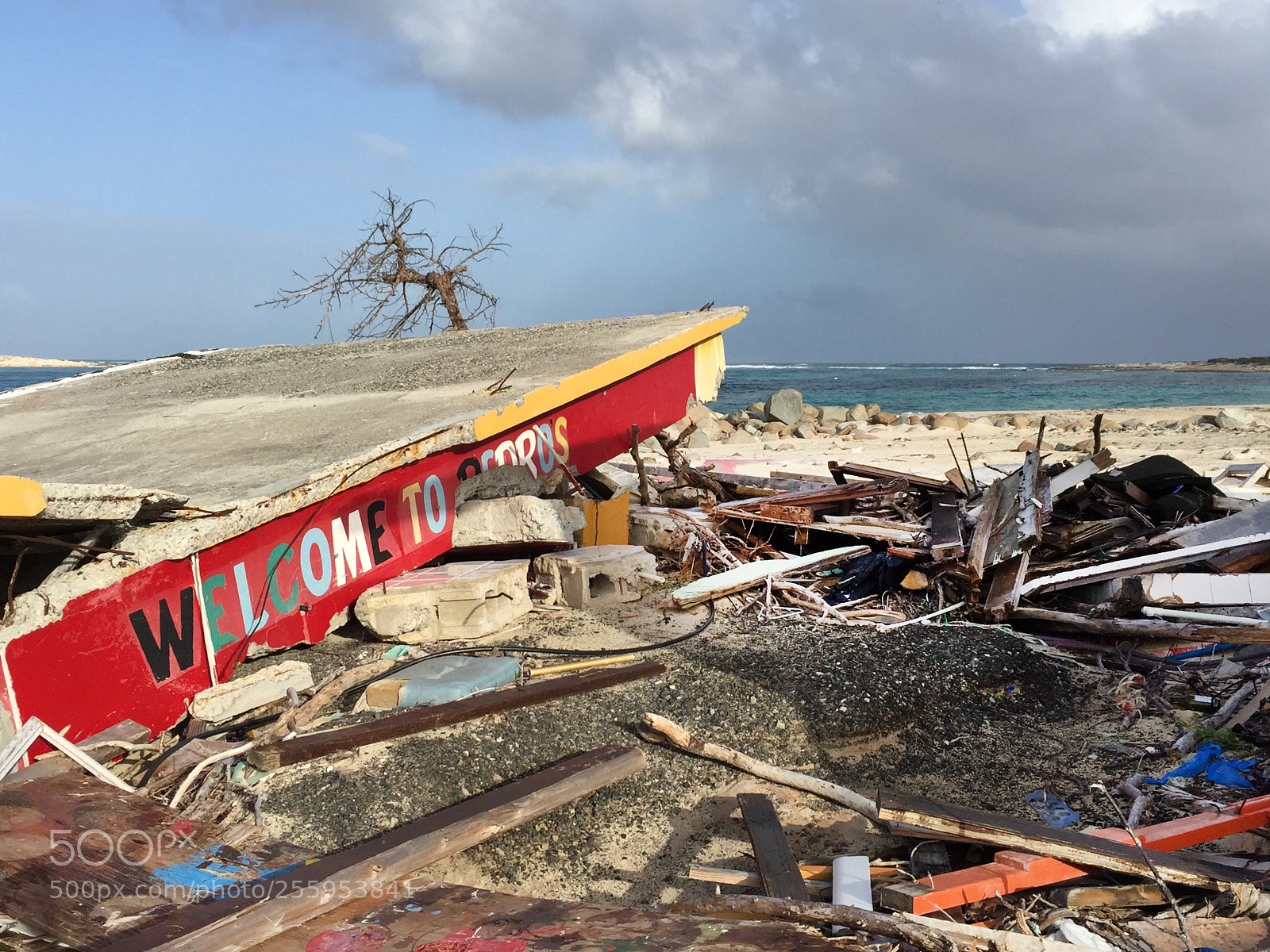 Apple iPhone 6 Plus sample photo. Petros after the hurricane photography