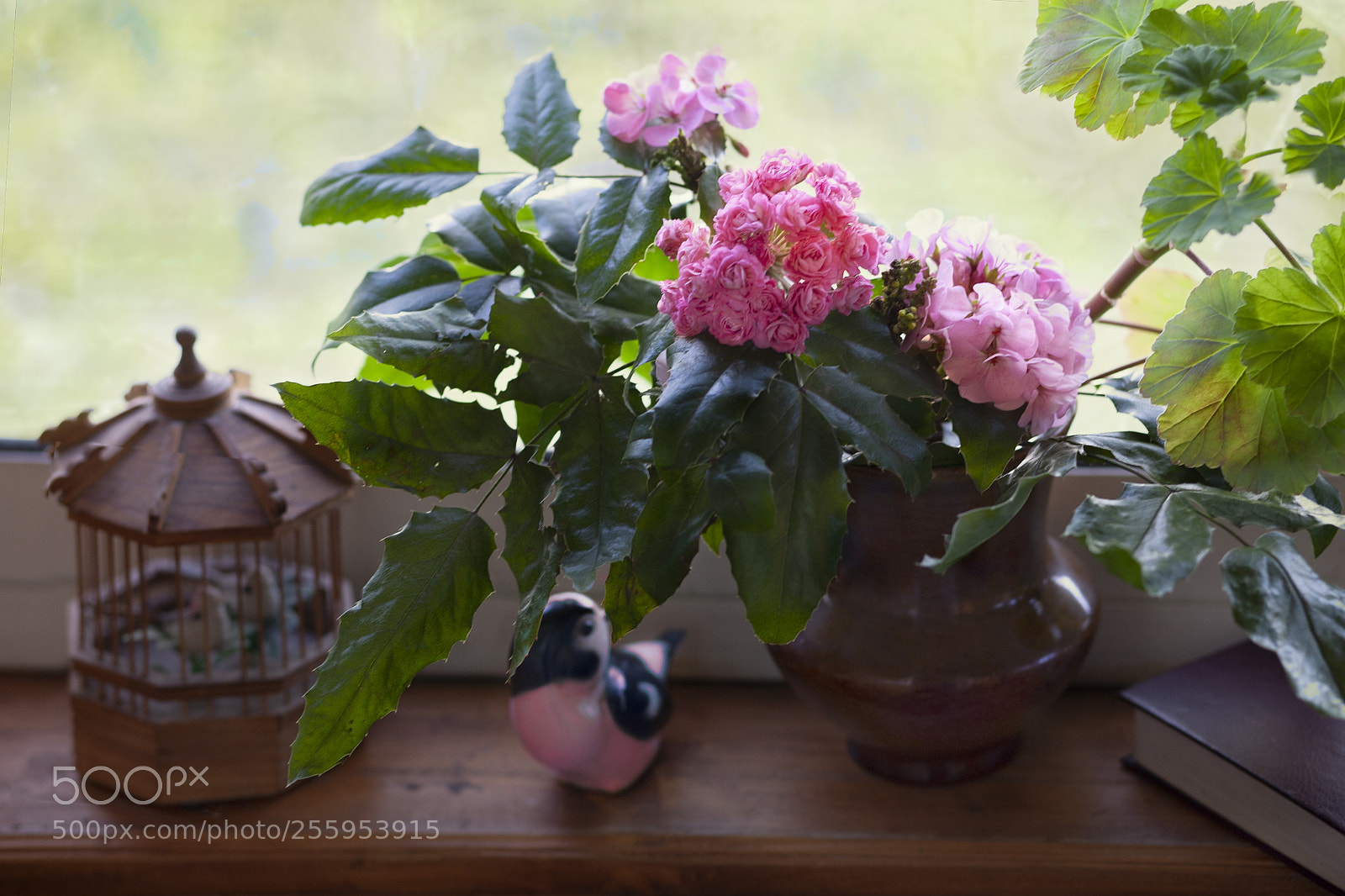 Canon EOS 5D sample photo. С розовой птичкой photography