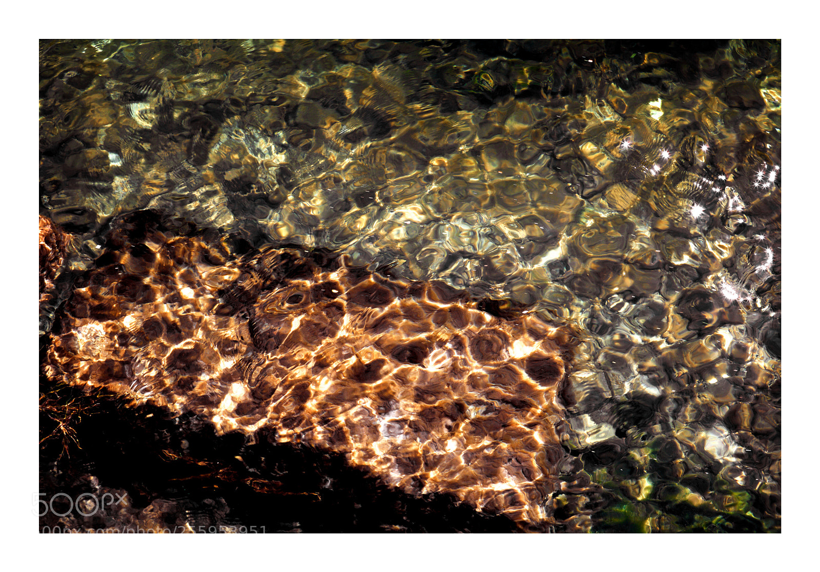 Canon EOS 5D Mark II sample photo. Reflection photography