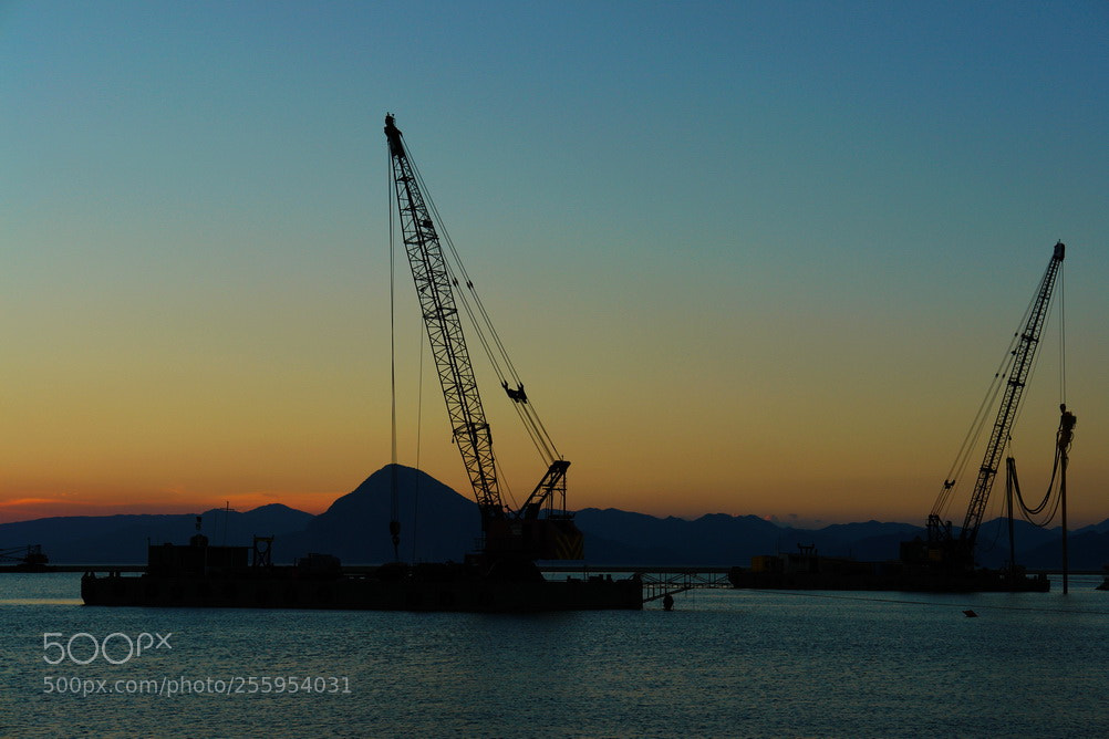 Sony DSC-R1 sample photo. Cranes photography