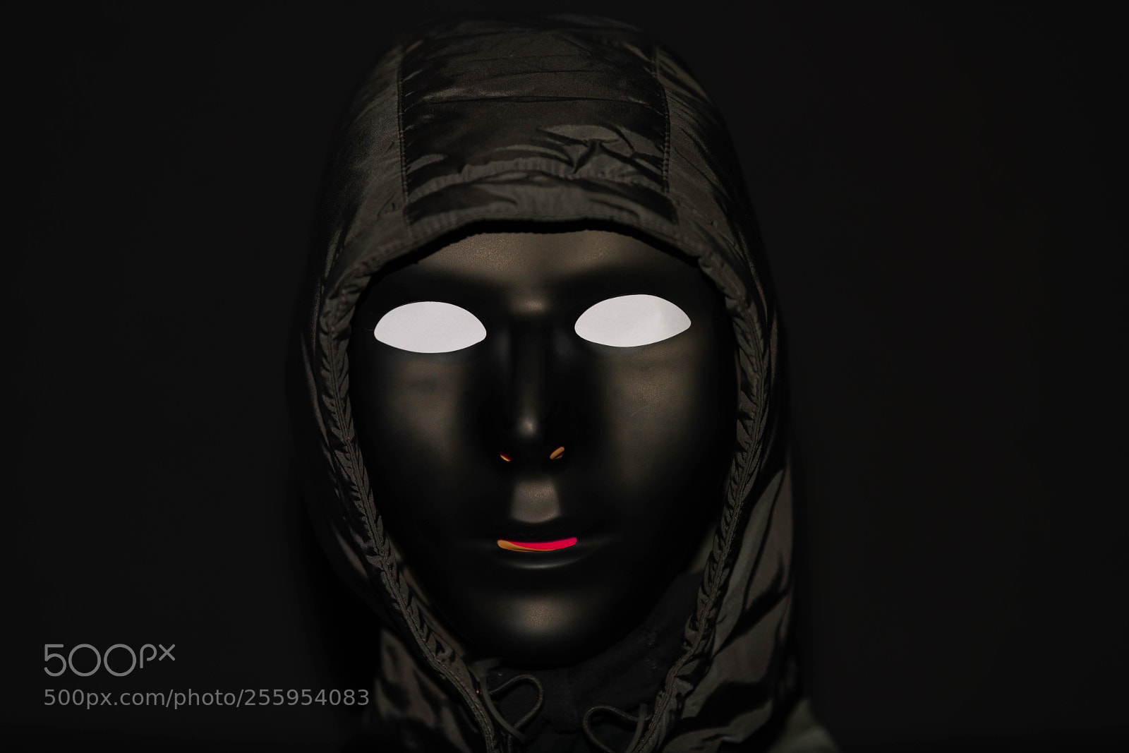 Nikon D850 sample photo. Hoodie photography