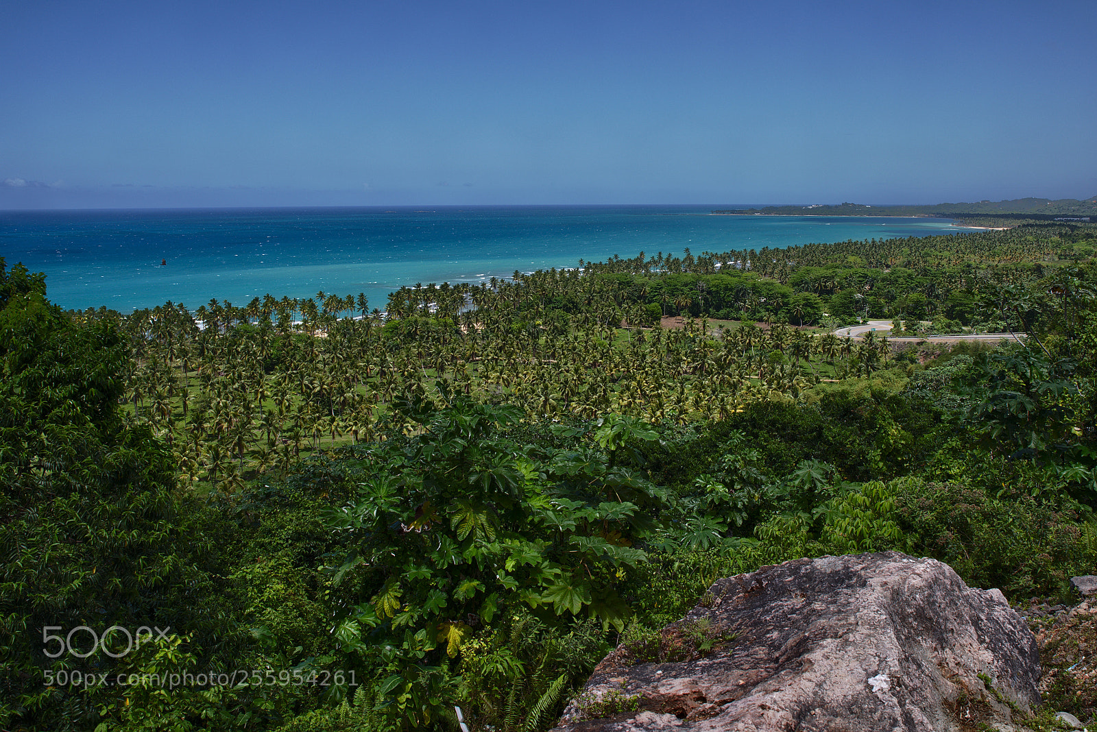 Pentax K-1 sample photo. Paradise photography
