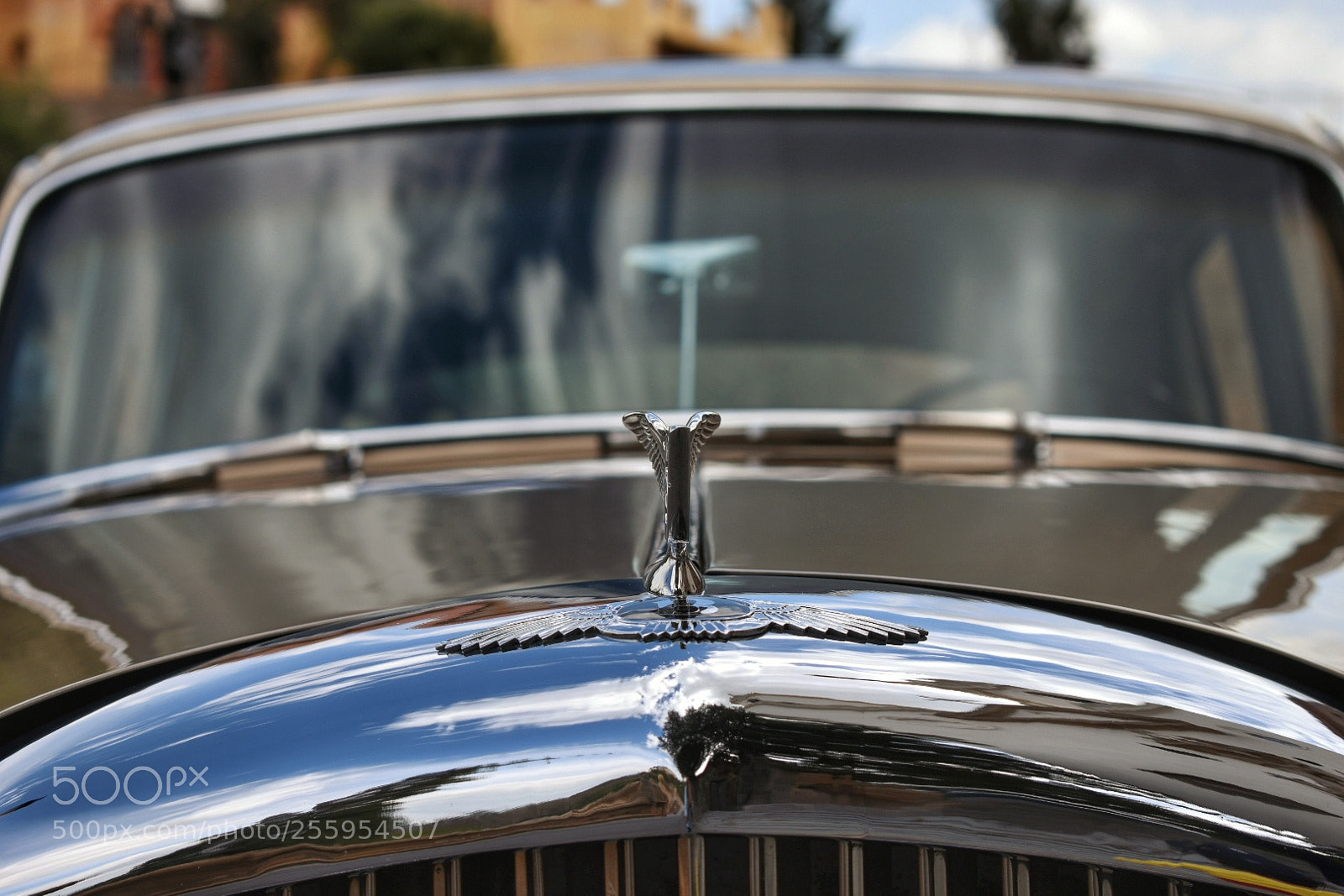 Nikon D5600 sample photo. The car... photography