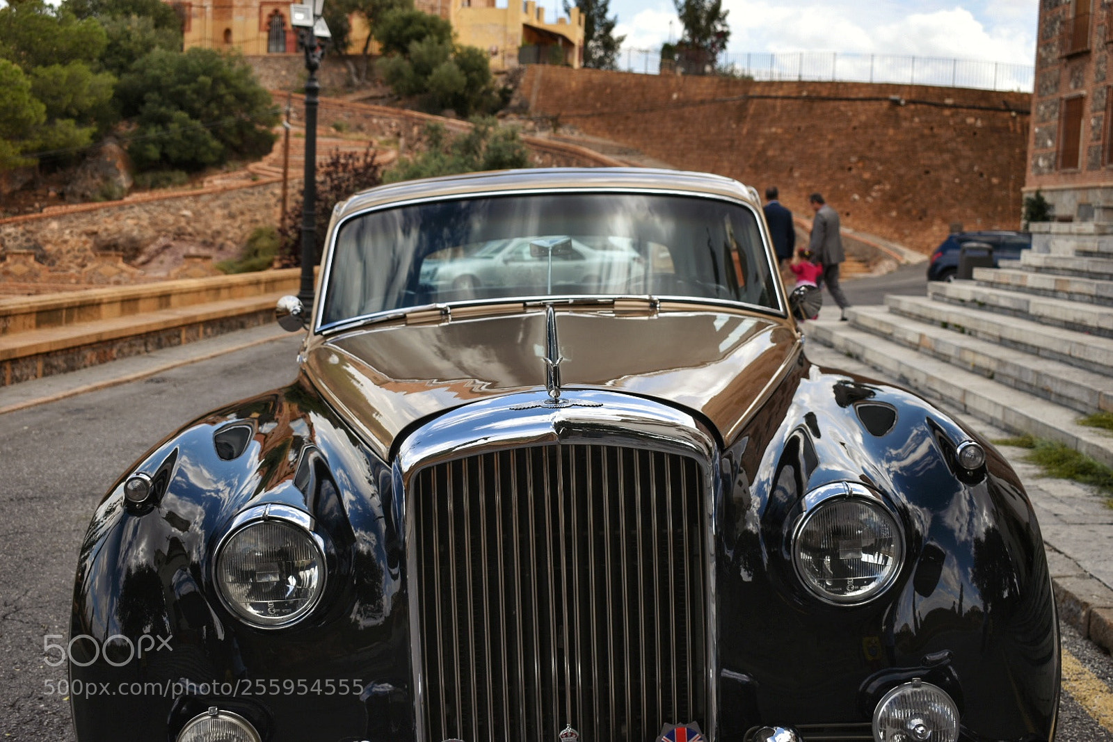Nikon D5600 sample photo. The car... photography