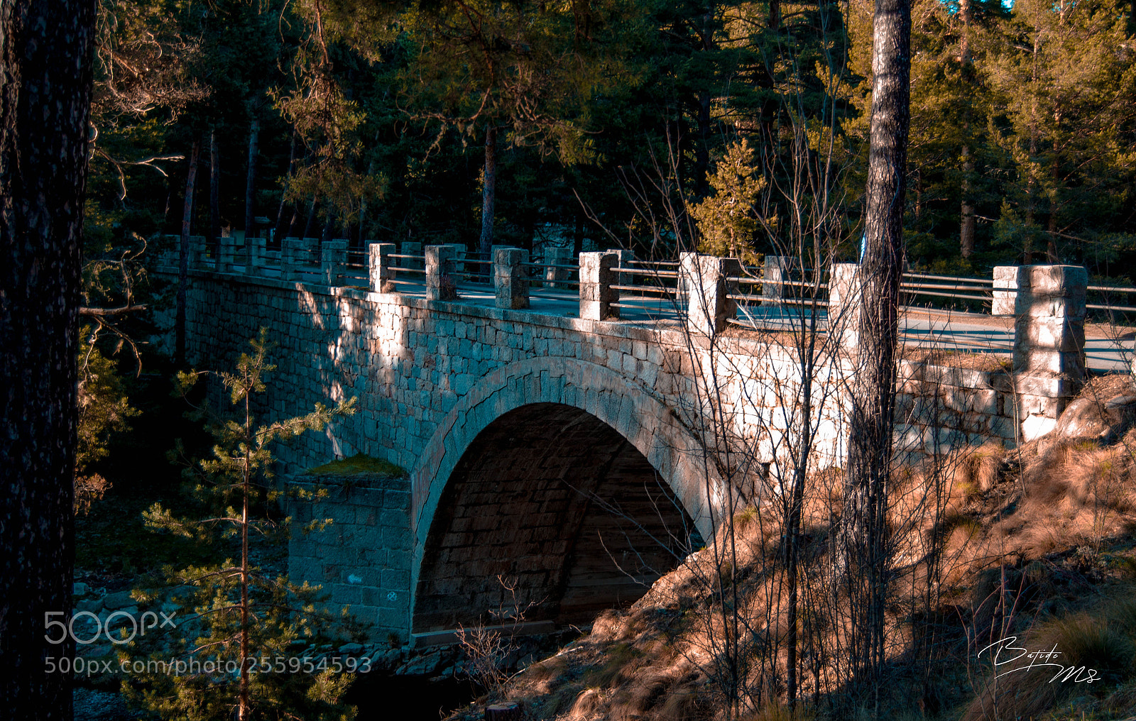 Nikon D5100 sample photo. Sierra de gredos. photography