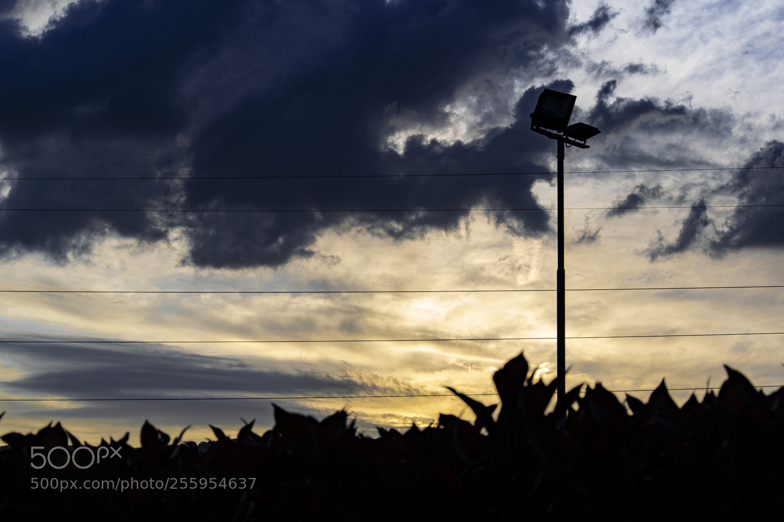 Nikon D3300 sample photo. Tramonto photography