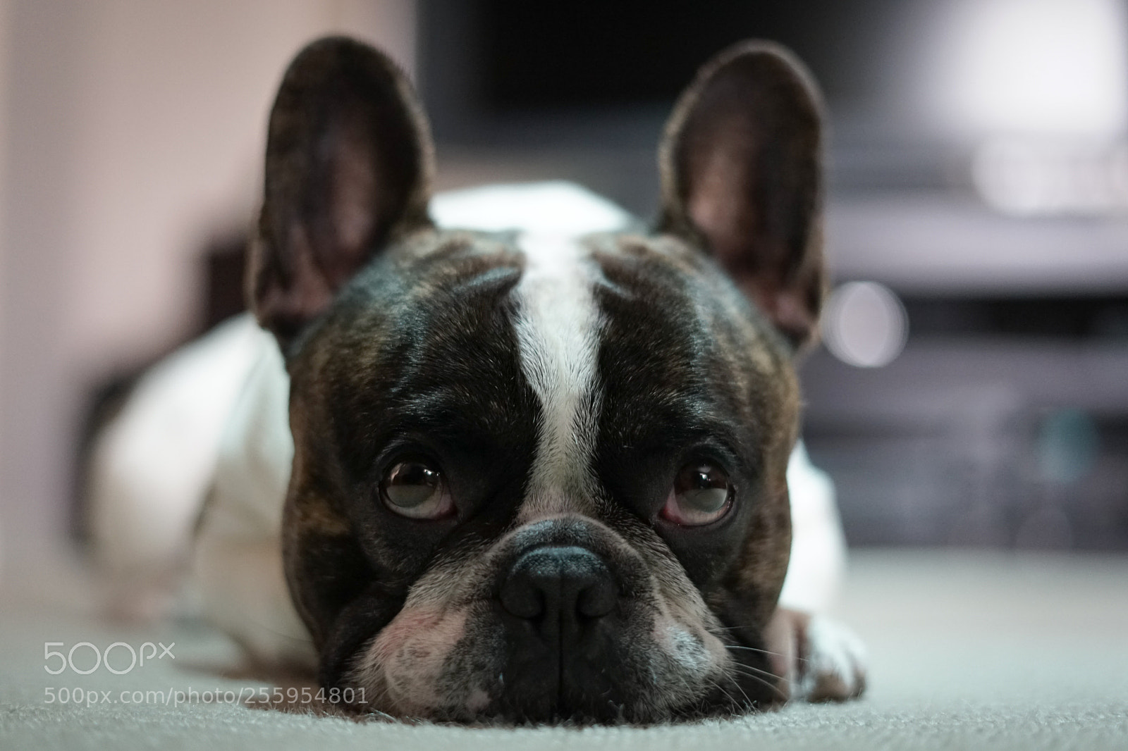 Sony a7 sample photo. Dsc photography