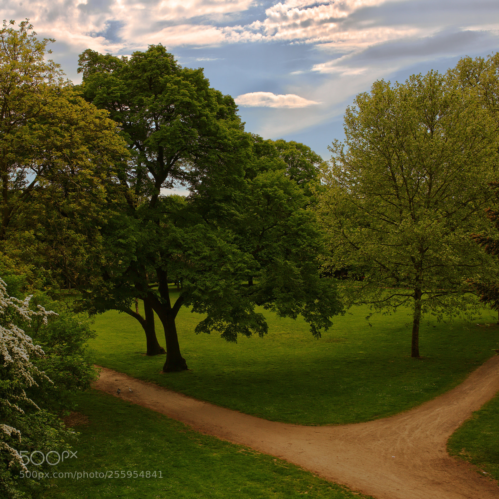 Canon EOS 6D sample photo. This is also cologne! photography