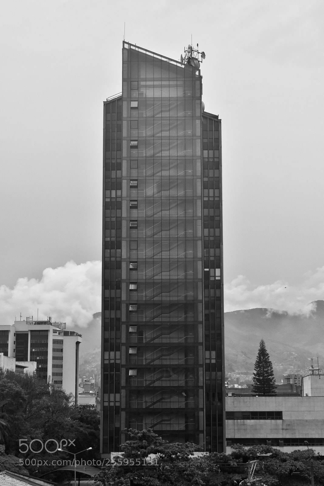 Nikon D5600 sample photo. Untitled photography