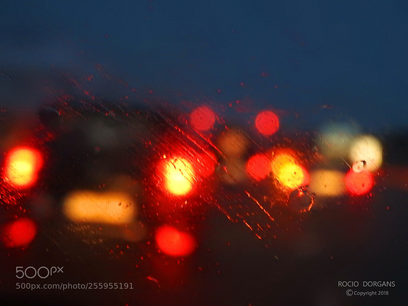 Nikon Coolpix P900 sample photo. Bokeh rain effect photography