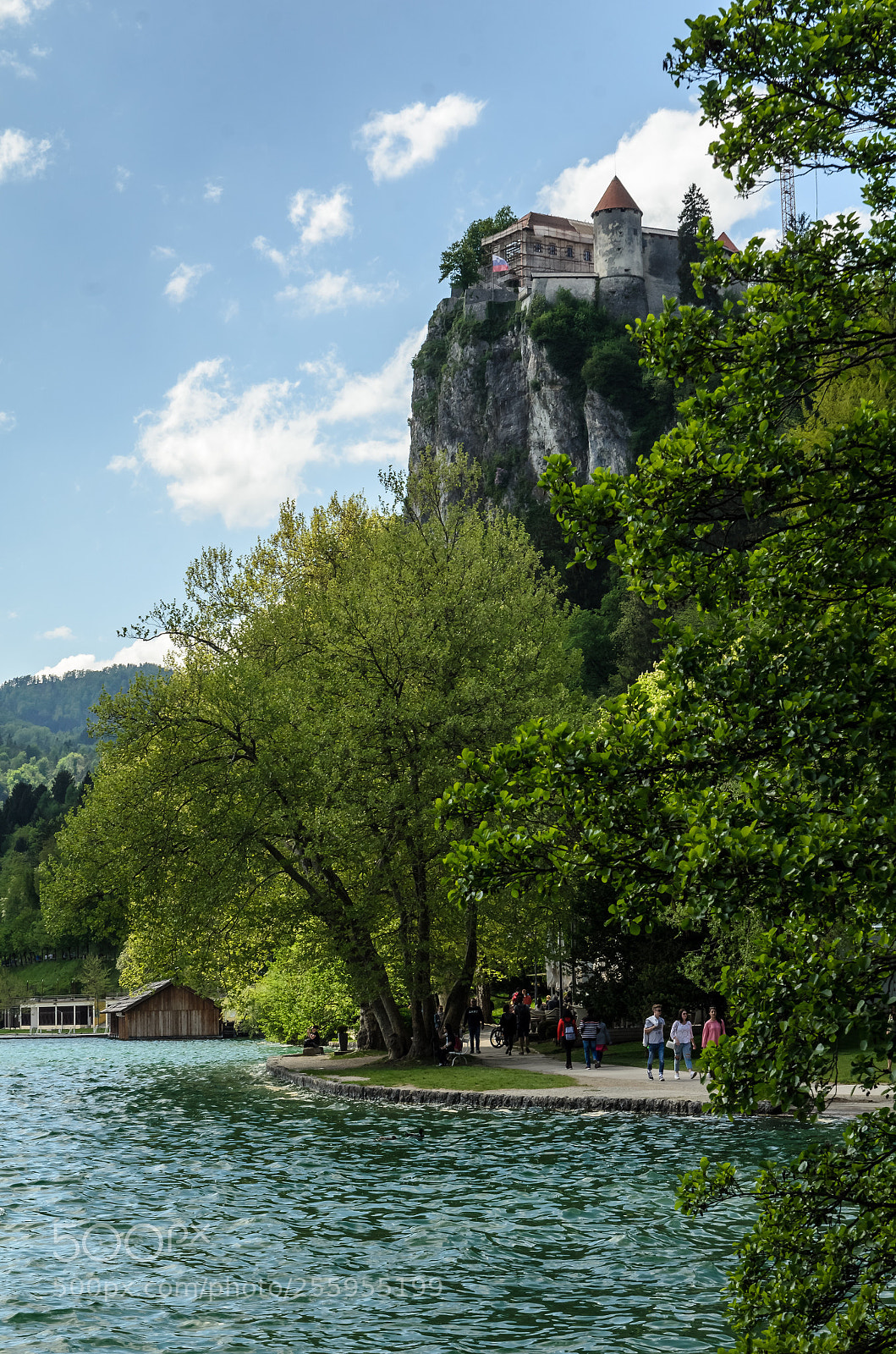 Nikon D7000 sample photo. Bled lake slovenia photography