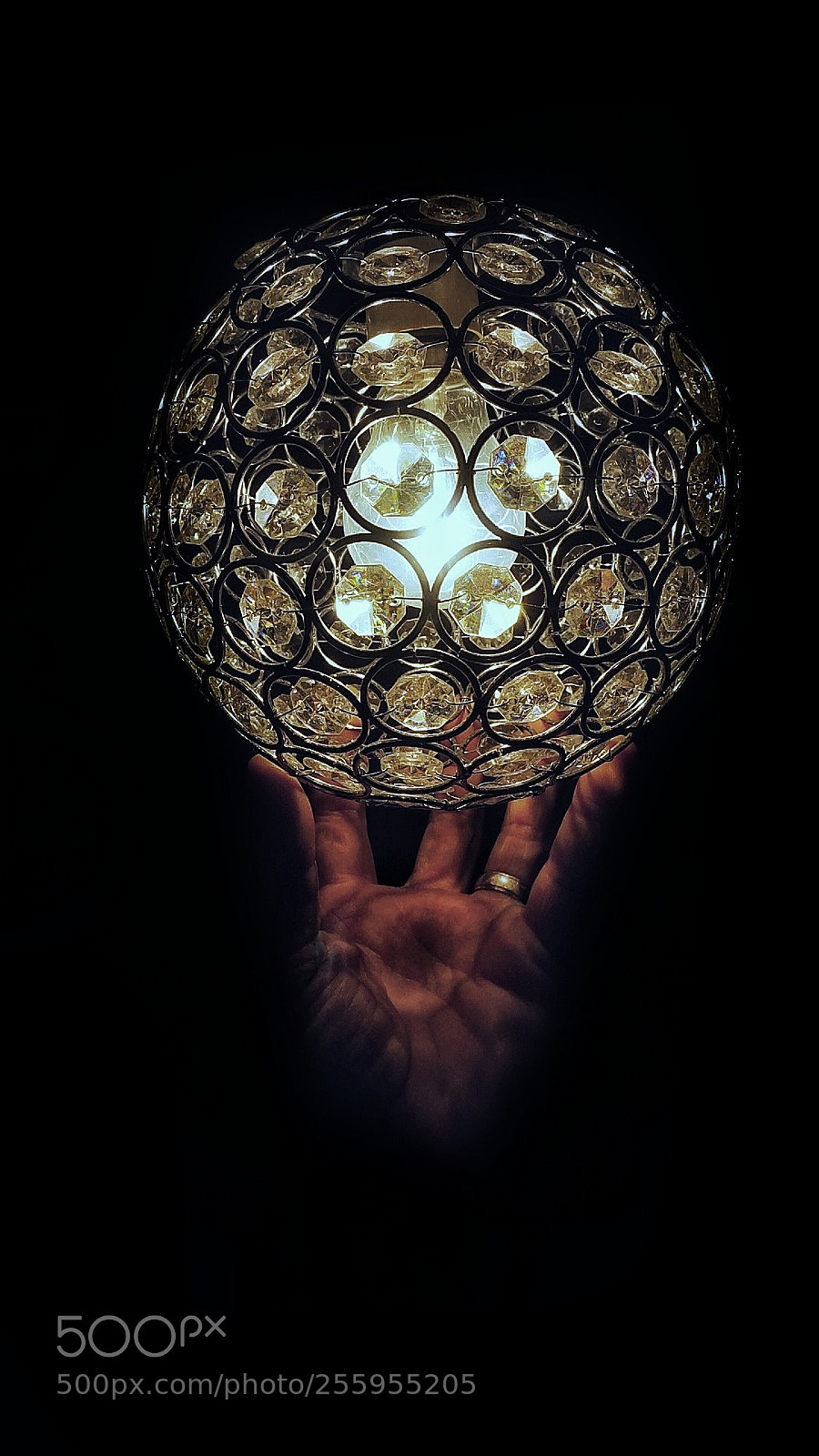Sony a6000 sample photo. Found the light photography