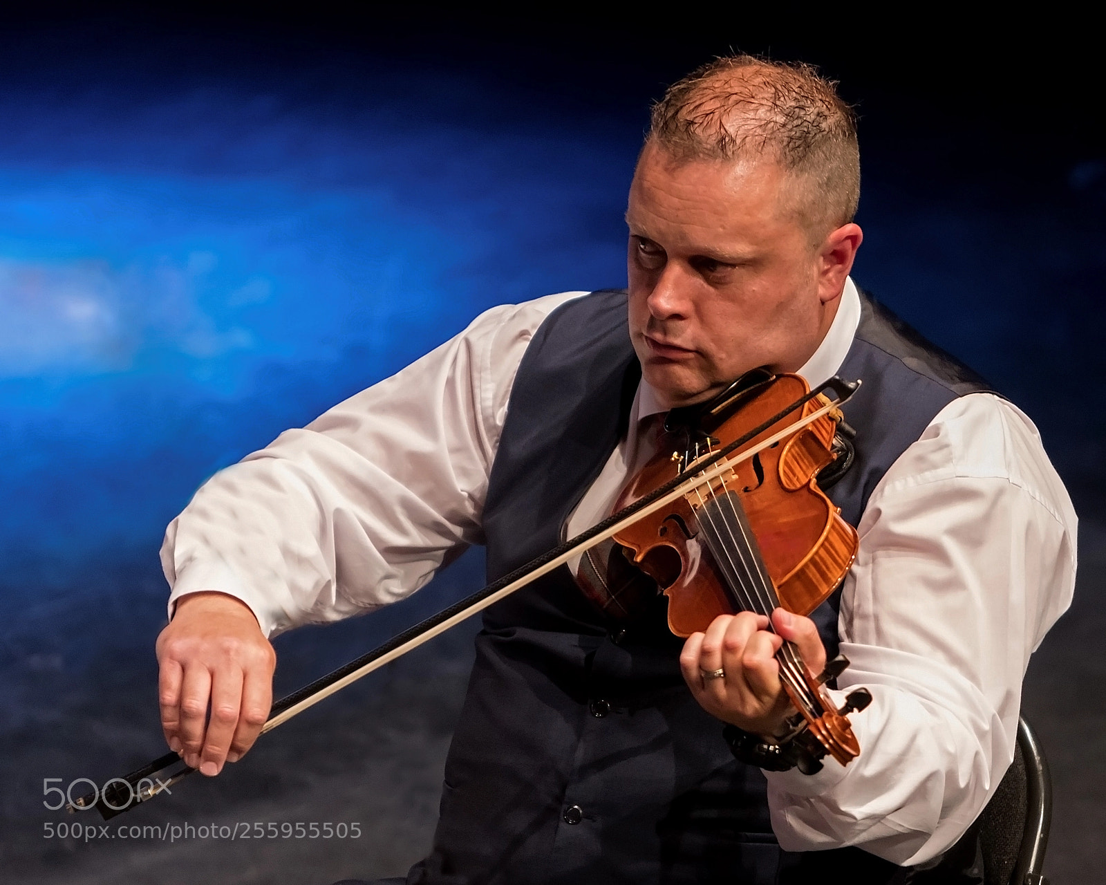 Canon EOS 80D sample photo. On the fiddle .... photography
