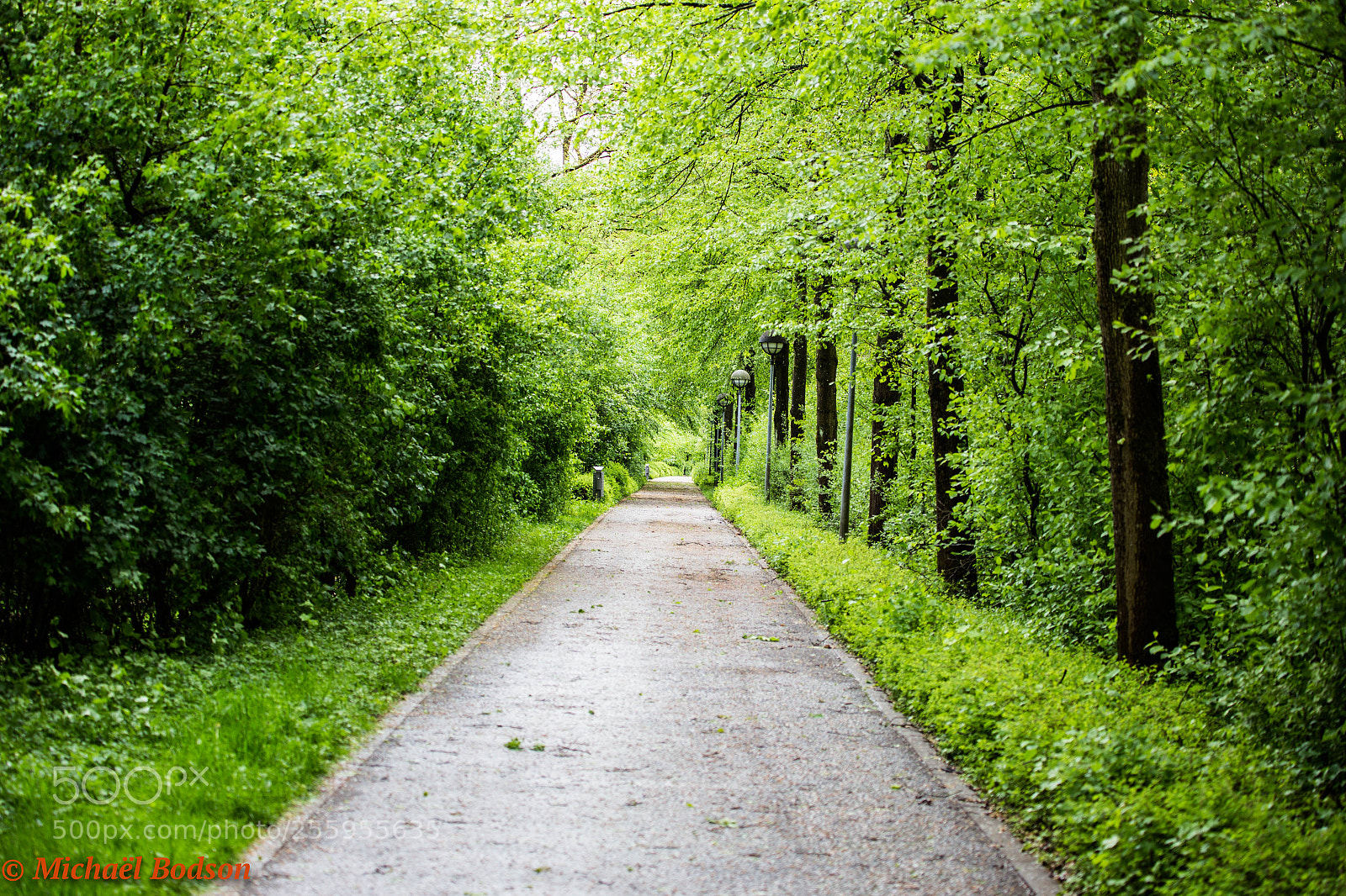 Canon EOS 6D sample photo. Plateau du kirchberg photography