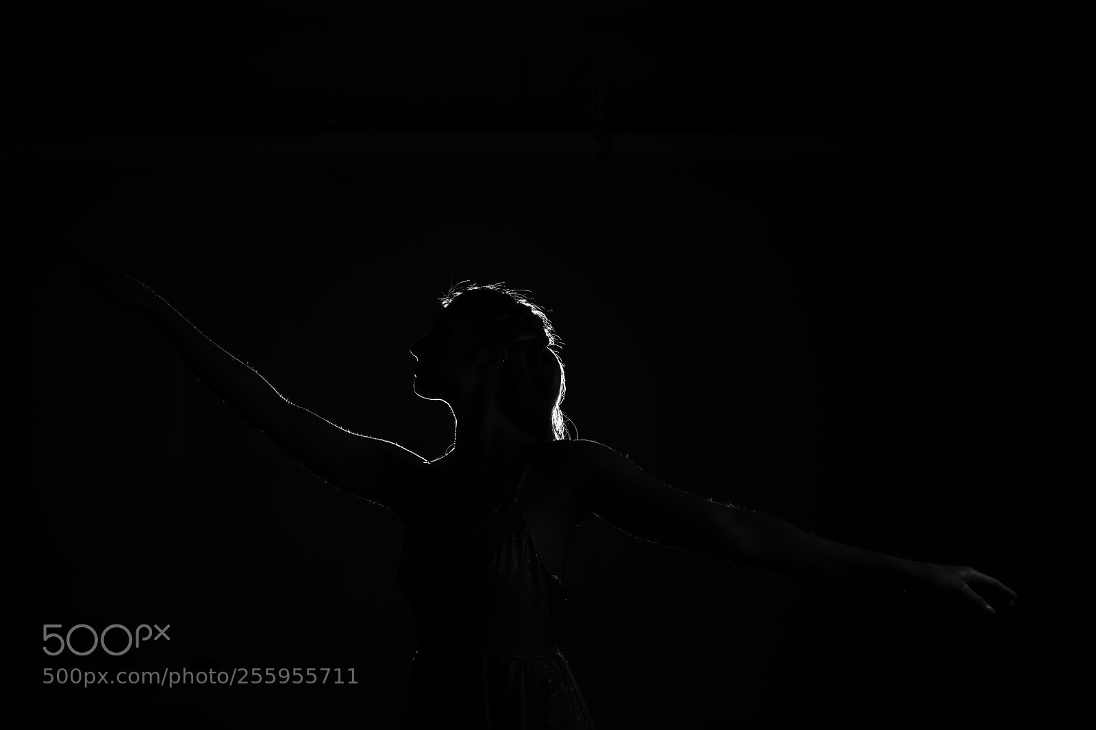 Nikon D850 sample photo. Dancer in dark photography