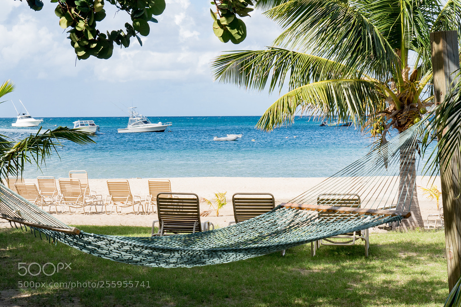 Olympus OM-D E-M5 II sample photo. The hammock photography