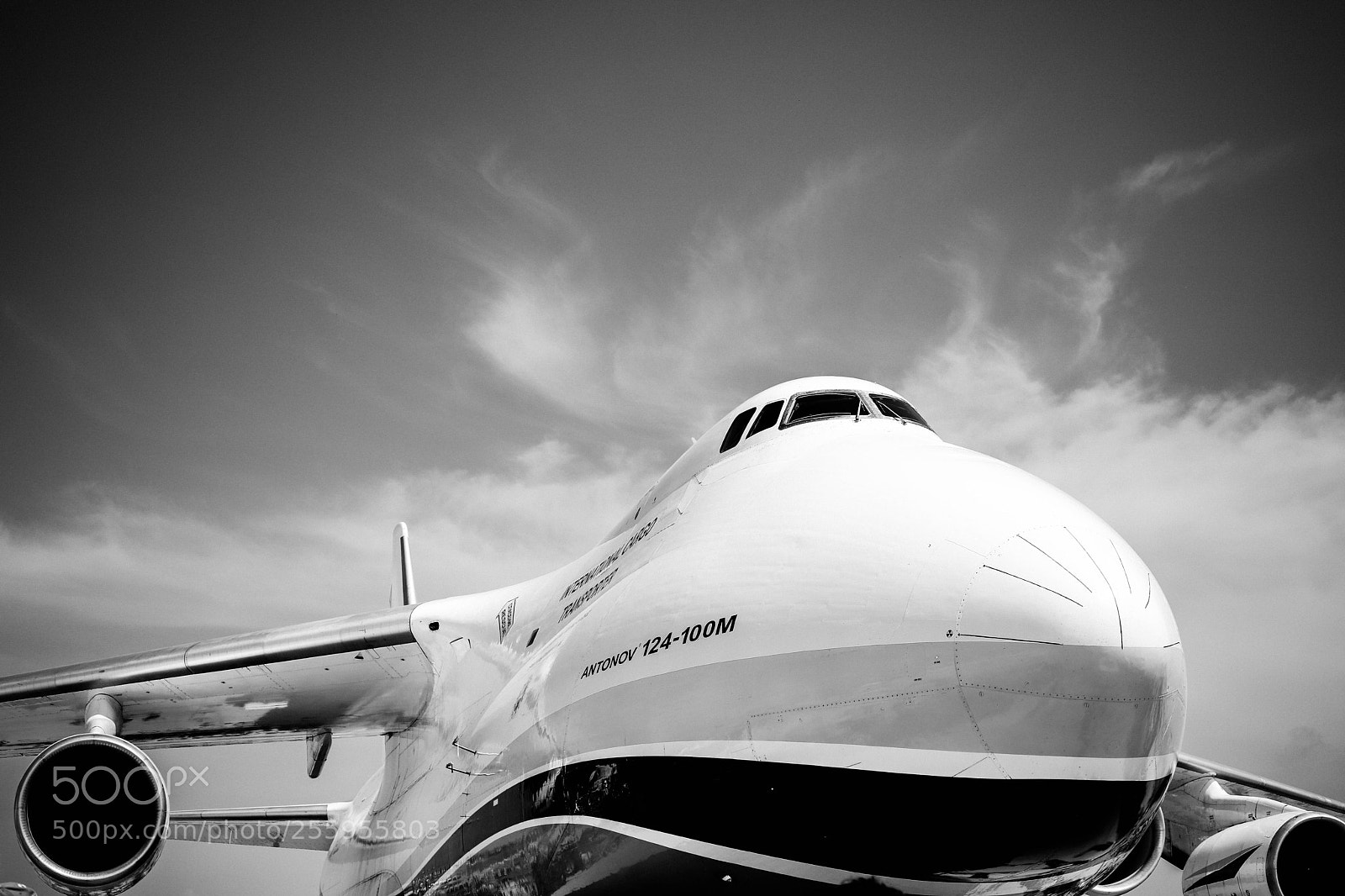 Canon EOS 6D Mark II sample photo. Big bird photography