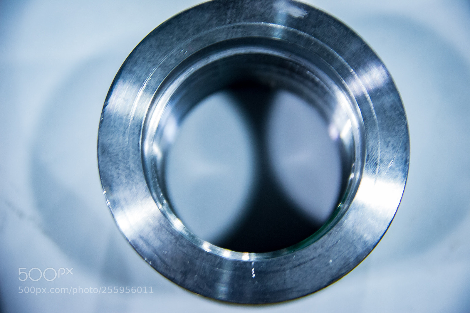 Canon EOS 700D (EOS Rebel T5i / EOS Kiss X7i) sample photo. Bushing photography