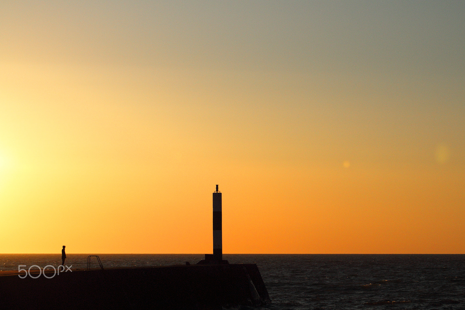 Canon EF 75-300mm f/4-5.6 sample photo. Sizing up photography