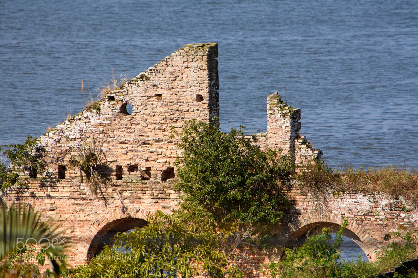 Nikon D7200 sample photo. Ruines in antonina, brazil. photography