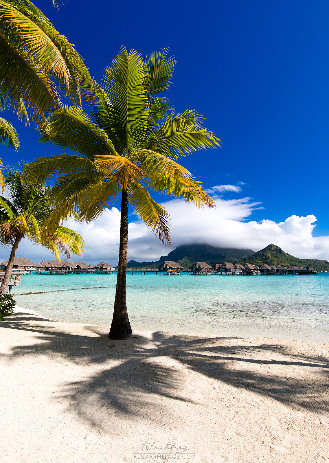 Canon EOS 5D Mark IV sample photo. Paradise in bora bora photography