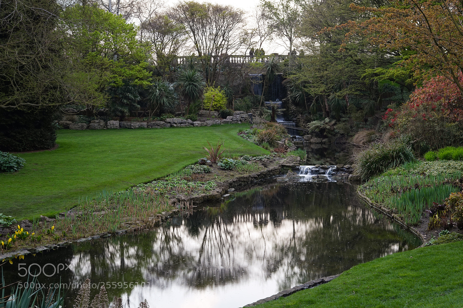 Sony a7 sample photo. Dsc photography