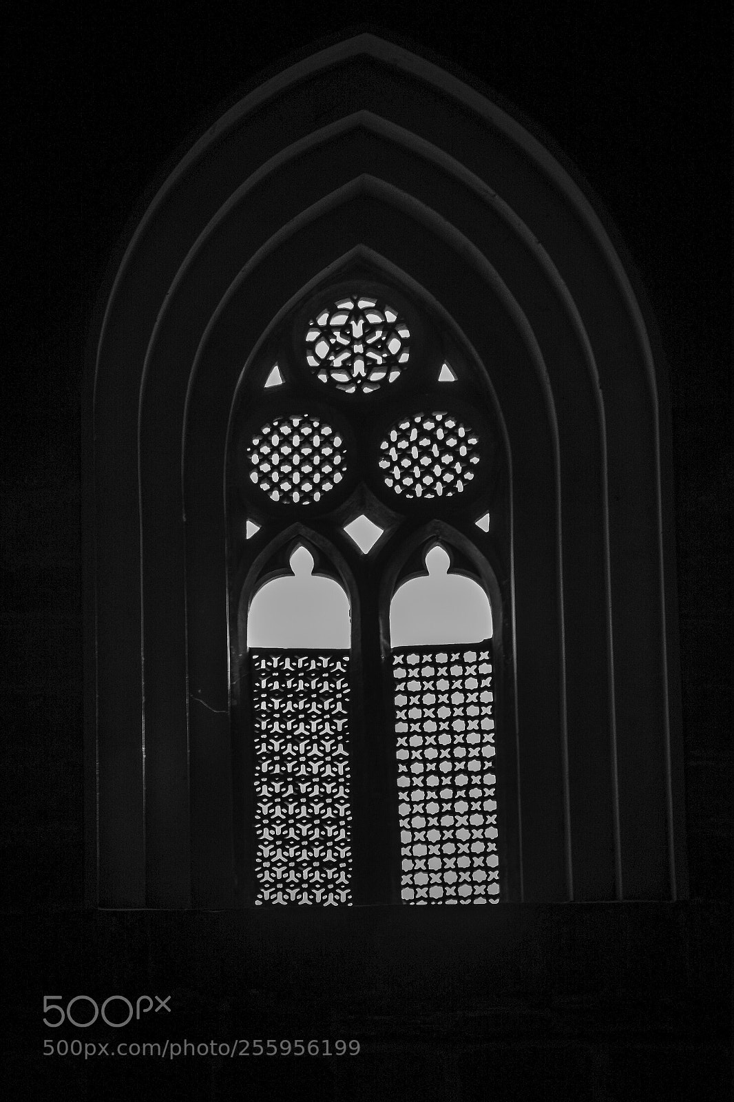Nikon D5200 sample photo. Untitled photography