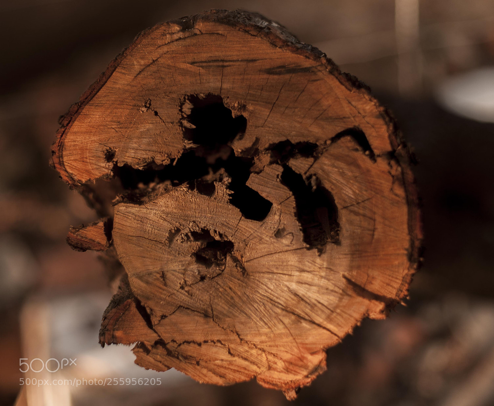 Nikon D700 sample photo. Pontal da barra photography