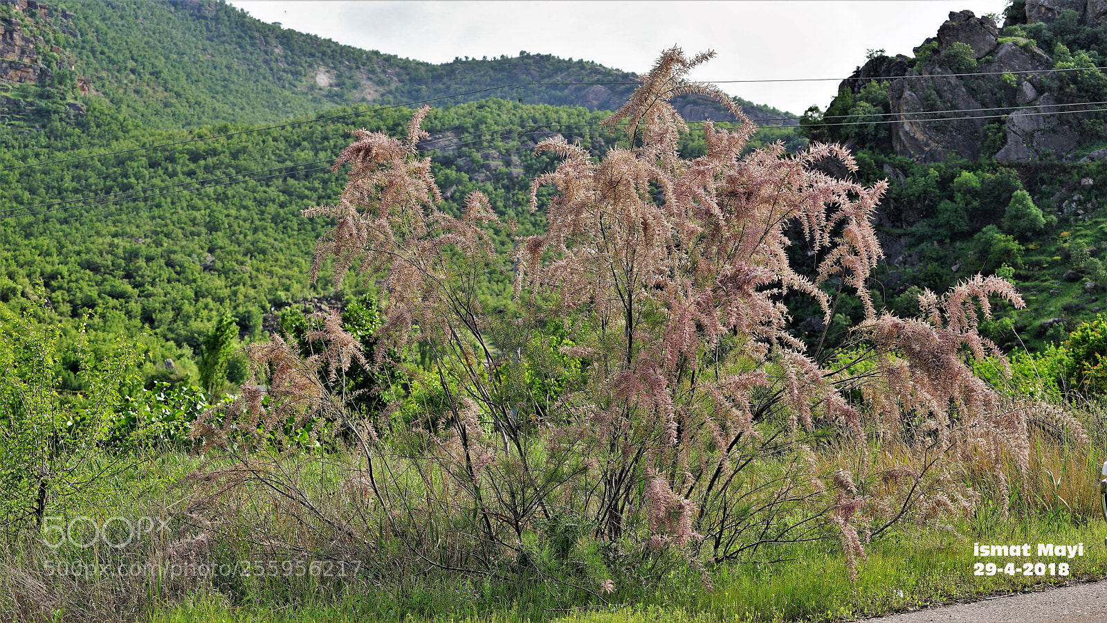 Sony a7 II sample photo. 16.jpg photography