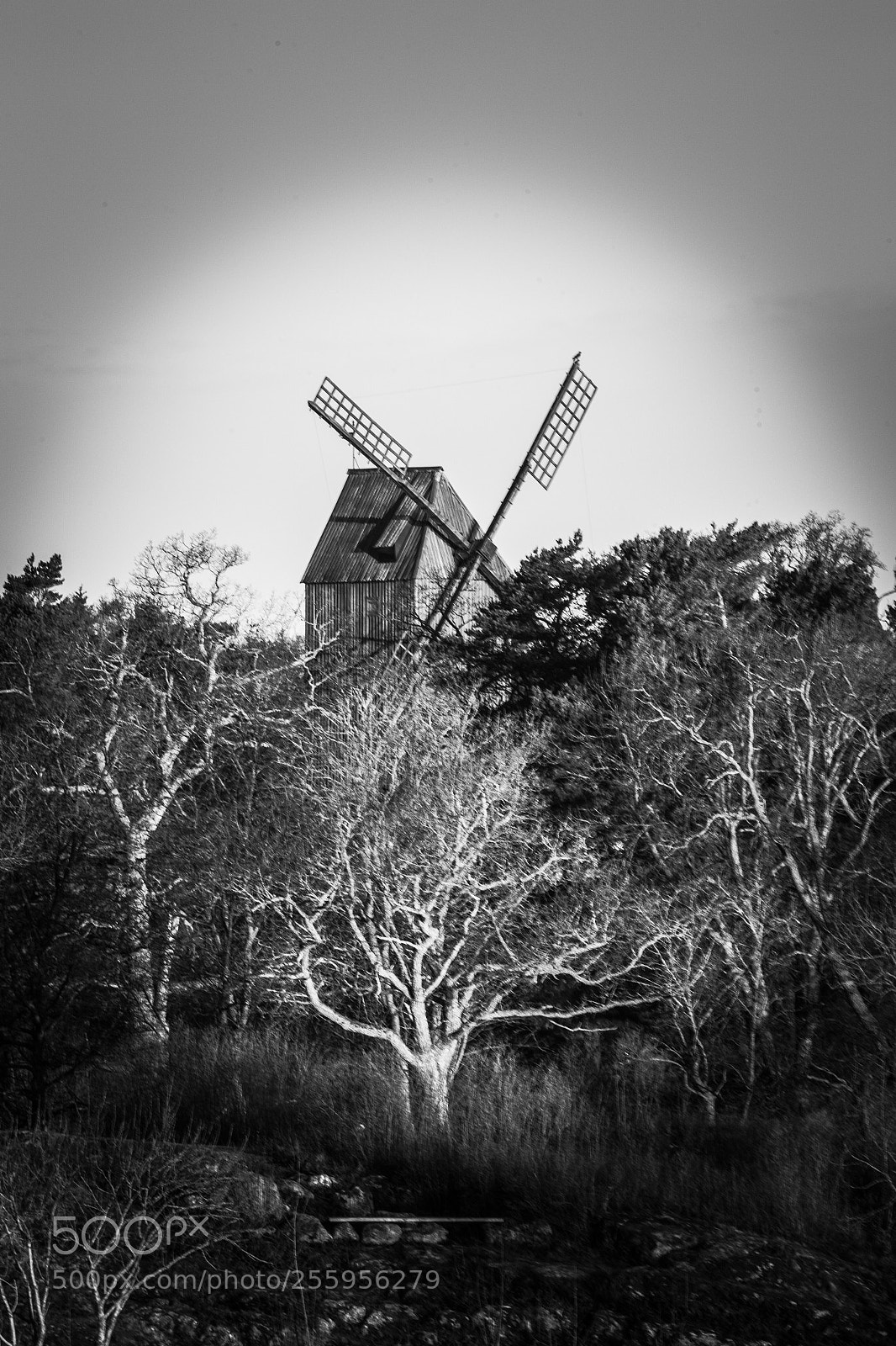 Canon EOS 6D sample photo. Untitled photography