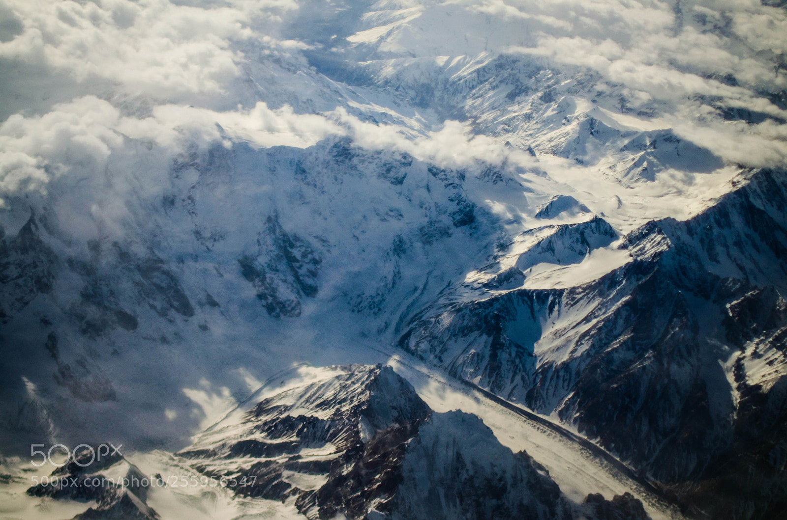 Nikon D5100 sample photo. Flying high photography