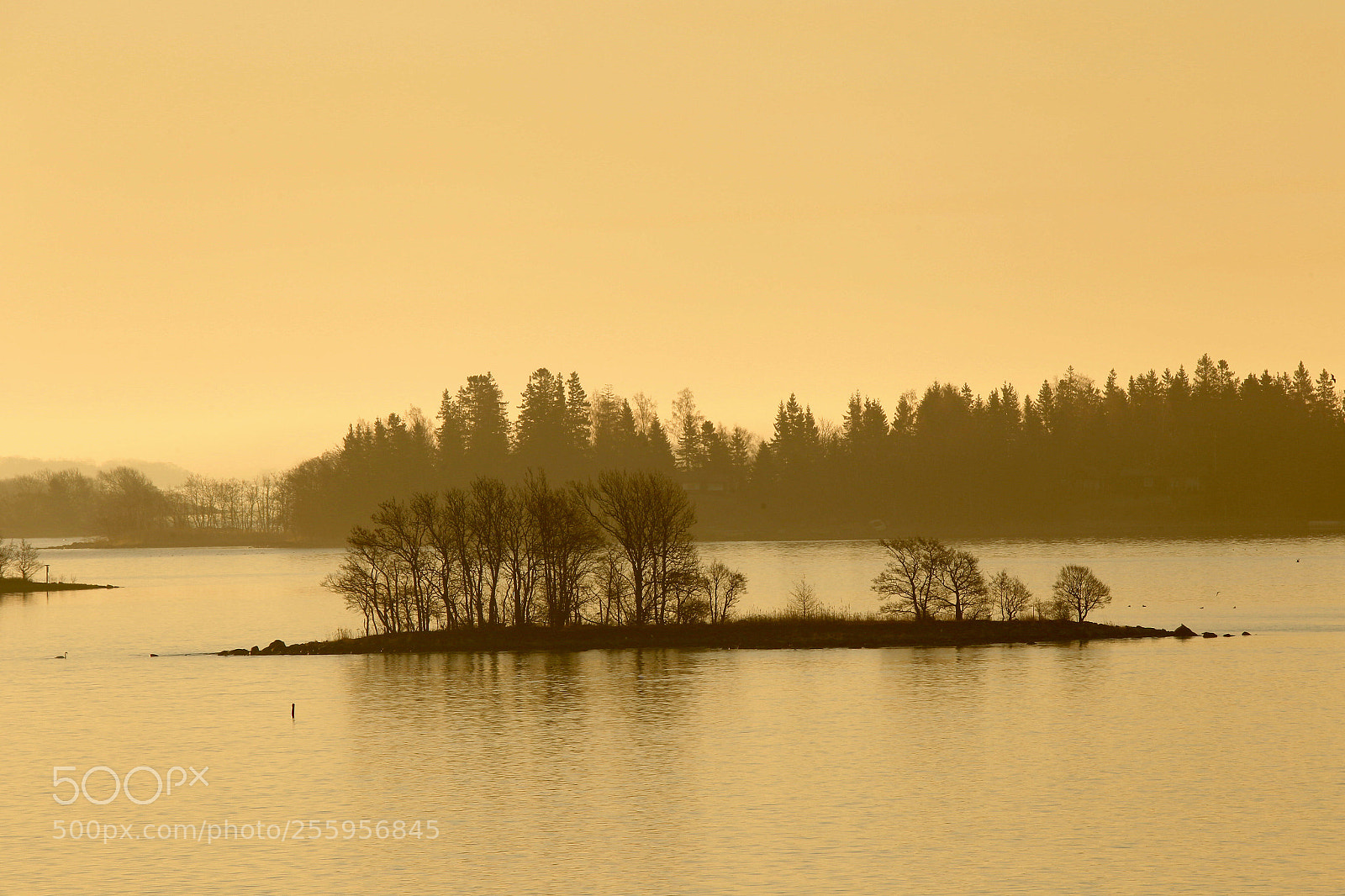 Canon EOS 6D sample photo. Golden hour early morning  photography