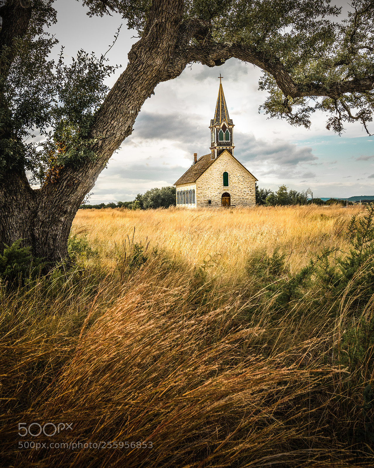 Nikon D7100 sample photo. St olaf's photography