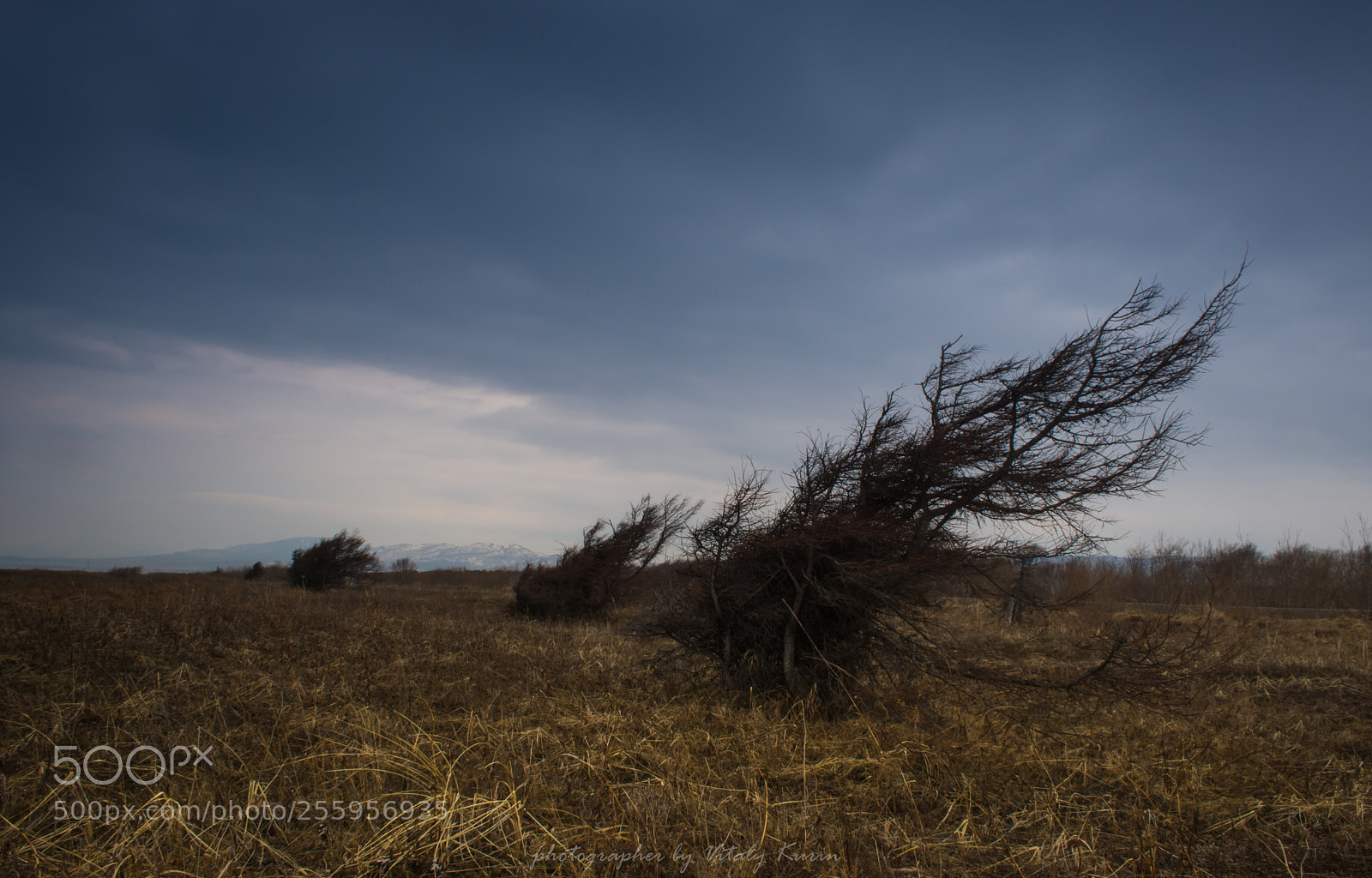Nikon D7200 sample photo. *** photography
